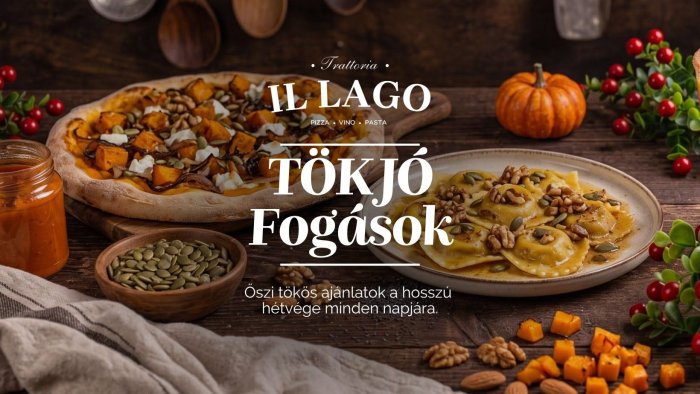 TÓK JÓ FOGÁSOK